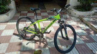Bicicletas: Niño y adulto
