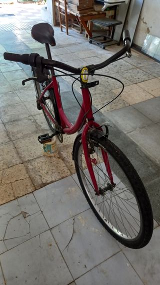 Bicicletas: Niño y adulto