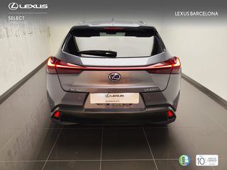 Lexus UX250h STYLE 2021 REF 2061