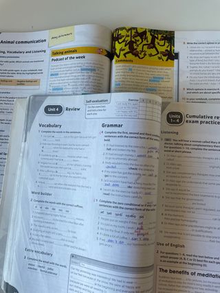 Mosaic 4. Workbook