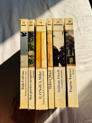 Libri classici: 6 unità