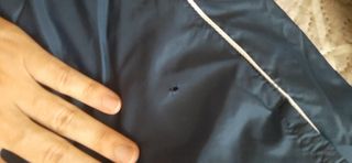 Chándal Nike azul - Talla M