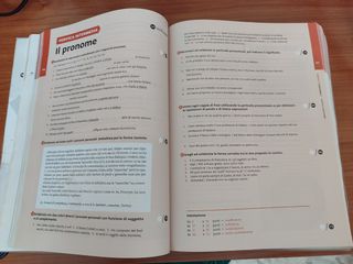 MENEGHINI GRAMMATICA ALLO SPECCHIO LESSICO