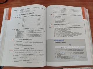 MENEGHINI GRAMMATICA ALLO SPECCHIO LESSICO