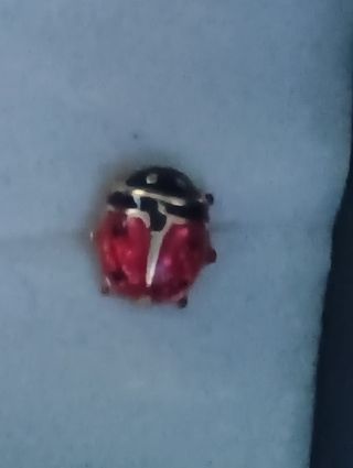 Pendientes mariquita bebé - oro, rojo