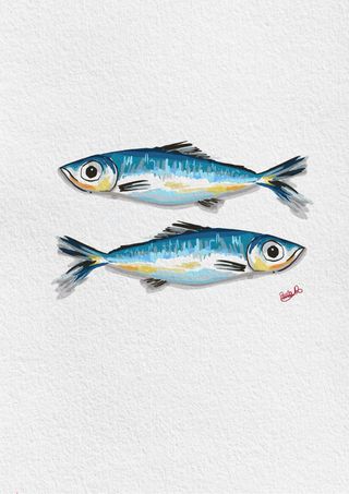 Ilustración digital sardinas