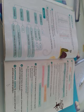 Lengua Castellana y Literatura. 3 Primaria Revuela