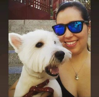 Cuidadora De Mascota