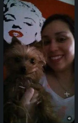 Cuidadora De Mascota