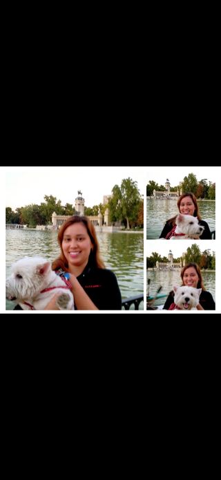 Cuidadora De Mascota