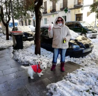 Cuidadora De Mascota