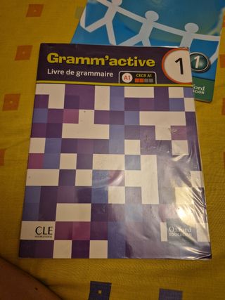 FRANCES 1ºESO CE GRAMATICA