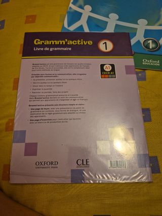 FRANCES 1ºESO CE GRAMATICA