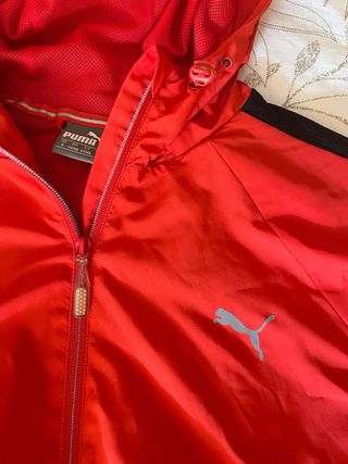 Chaqueta Puma 