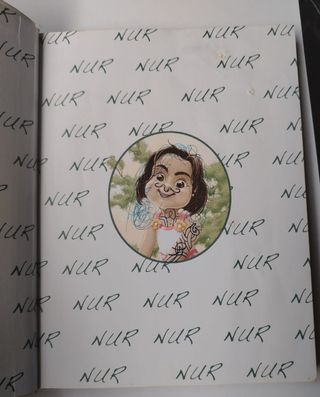 Nur eta irlandar gnomoa