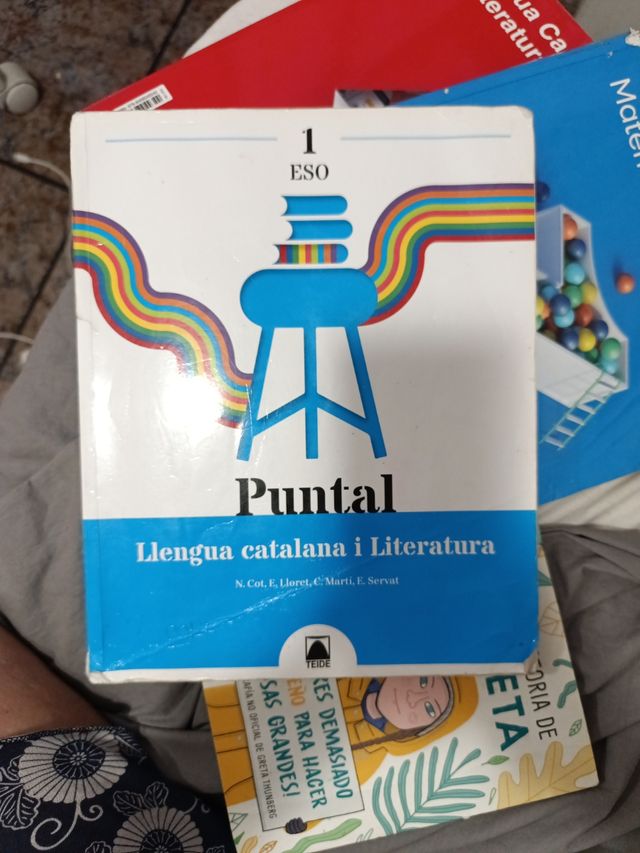 Puntal 1. Llengua catalana i Literatura 1 ESO