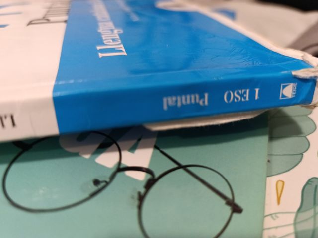 Puntal 1. Llengua catalana i Literatura 1 ESO