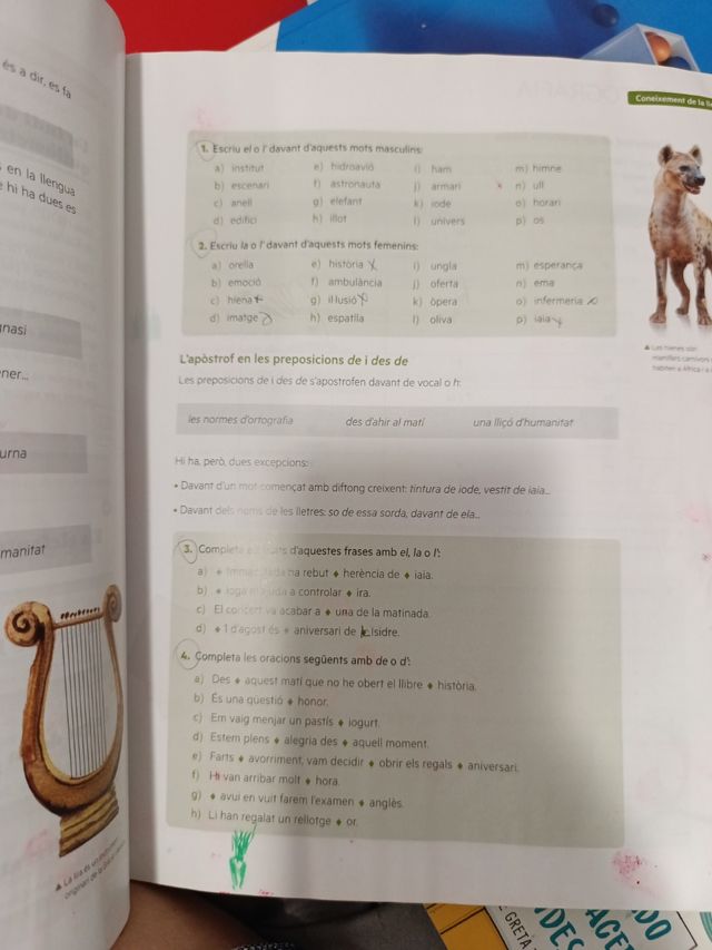 Puntal 1. Llengua catalana i Literatura 1 ESO