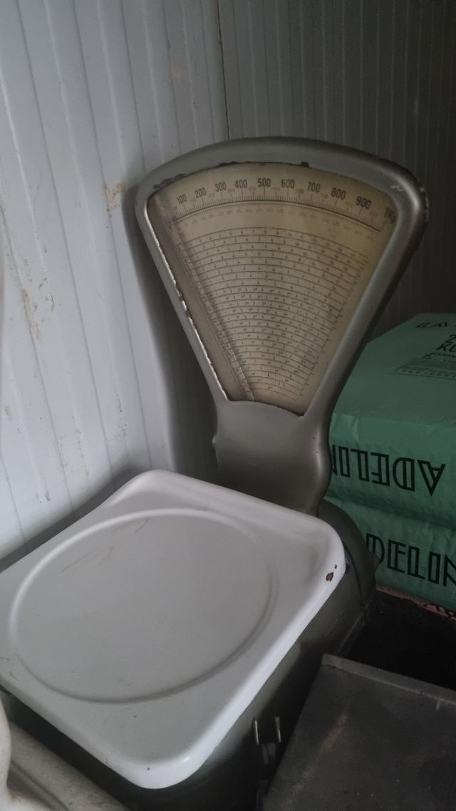 Balanza Cely antigua