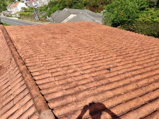 Velux, tejados y canalones