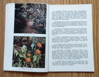 Guía JARDÍN DE ACLIMATACIÓN DE LA OROTAVA