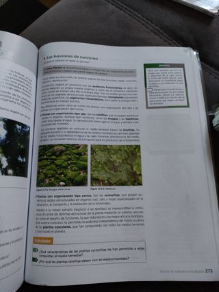 Inicia Biología y Geología 1.º Bachillerato. Li...