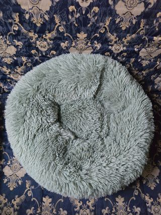 Cama redonda para mascotas - Verde