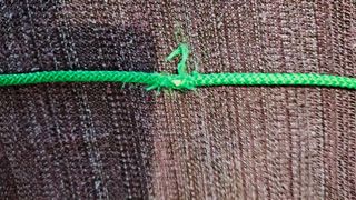 Cordones Cordones - Baby Art