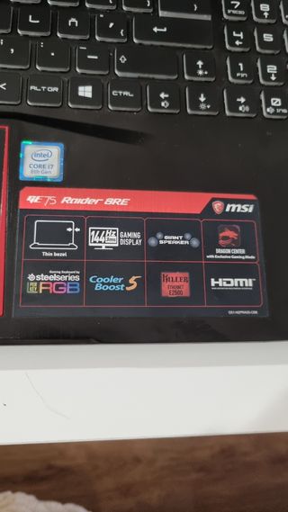 Portátil MSI gaming GE75 Raider 8RE