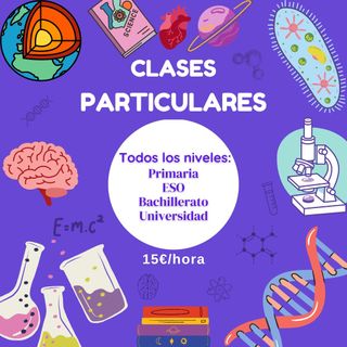 Clases de refuerzo/apoyo para verano
