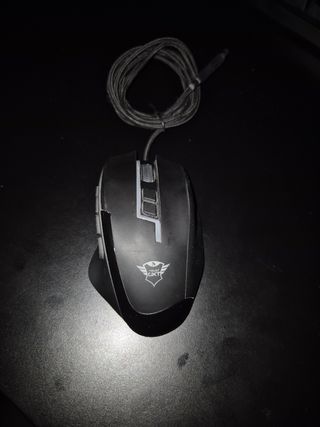 Mouse Gaming trust gxt RGB Nero con software.