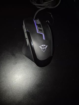 Mouse Gaming trust gxt RGB Nero con software.