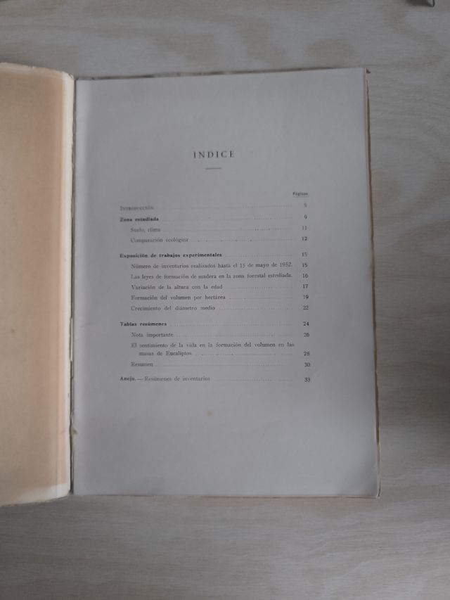 Libro antiguo: Producción Eucaliptus Globulus