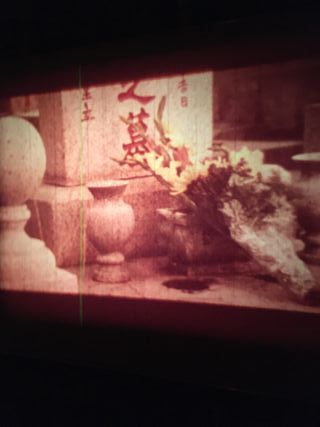 Película Super 8 Karate años 70