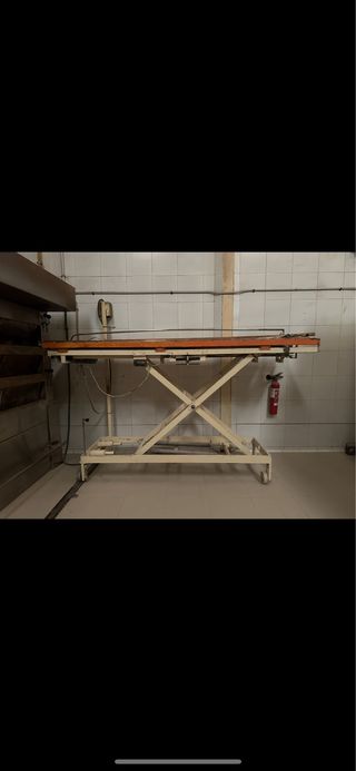 Mesa elevadora industrial para entrar pan en horno
