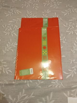 Proyecto: FanFest. Religión católica 4