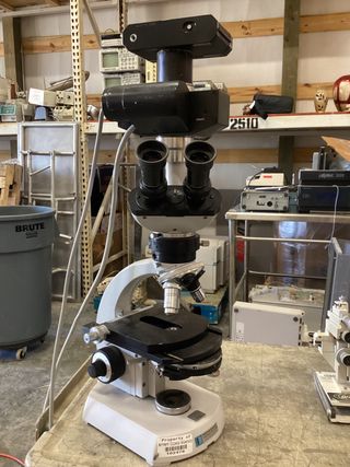 Microscopio Zeiss DIC