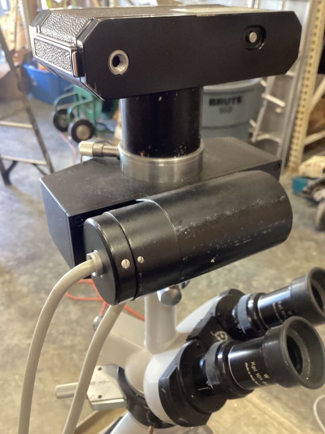 Microscopio Zeiss DIC