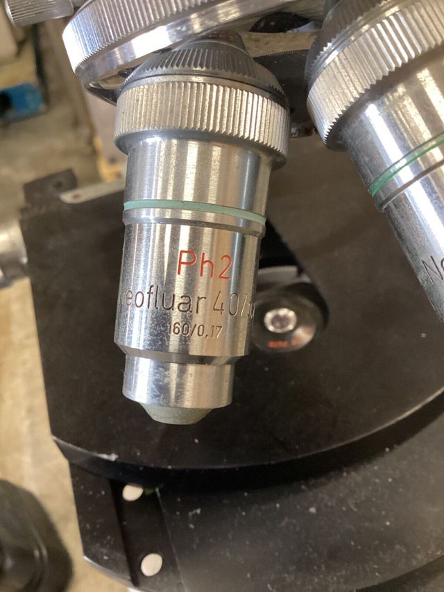 Microscopio Zeiss DIC