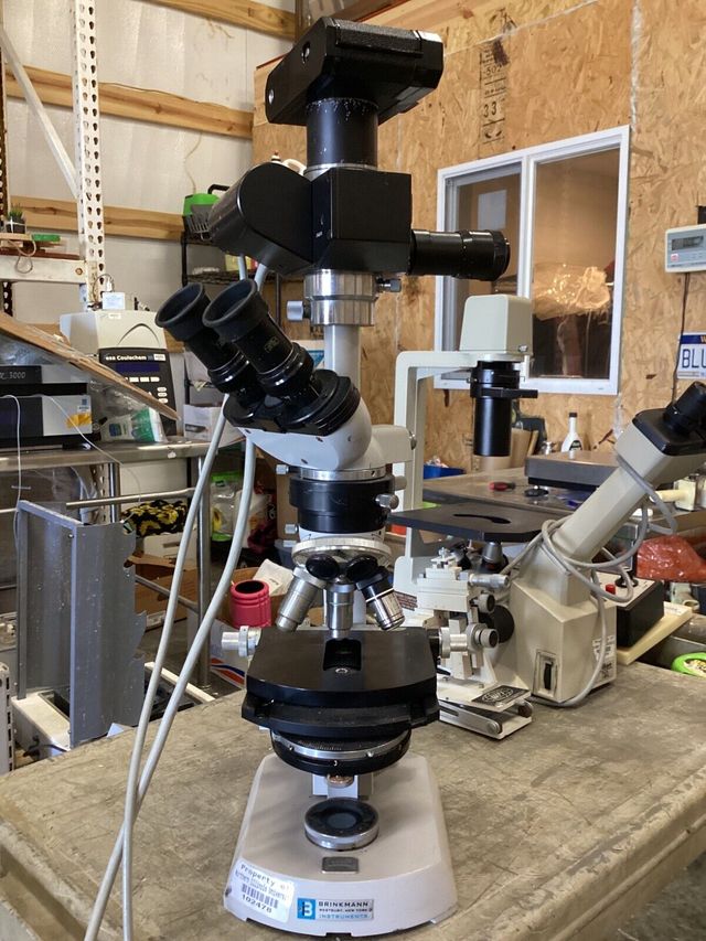 Microscopio Zeiss DIC