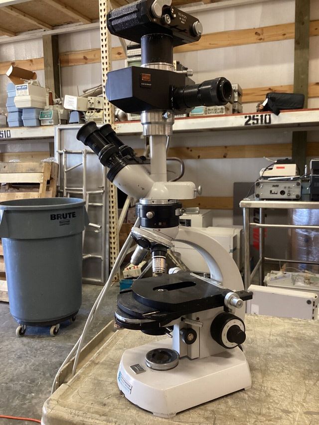 Microscopio Zeiss DIC