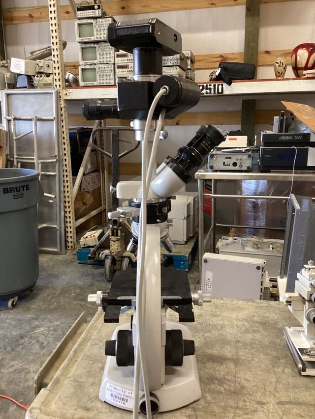 Microscopio Zeiss DIC