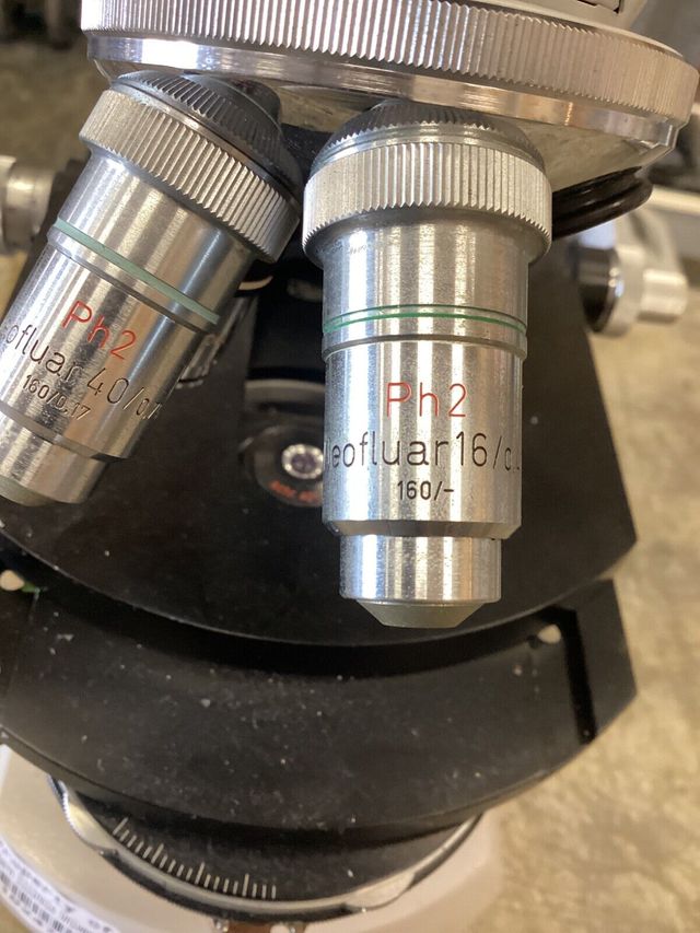 Microscopio Zeiss DIC