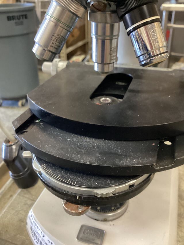 Microscopio Zeiss DIC