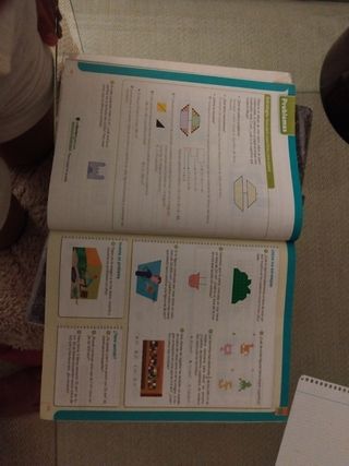 Matemáticas. 6 Primaria. Savia (Spanish Edition)
