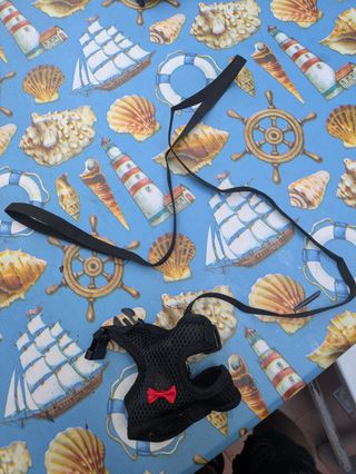 Arnés y cadena para mascota pequeña