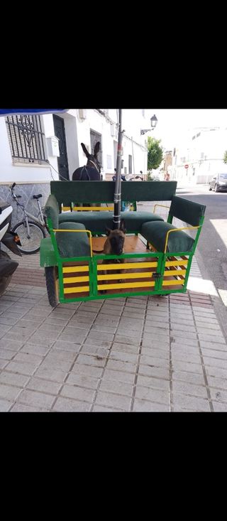 Carro burro pony