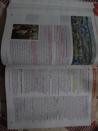 La storia. Progettare il futuro