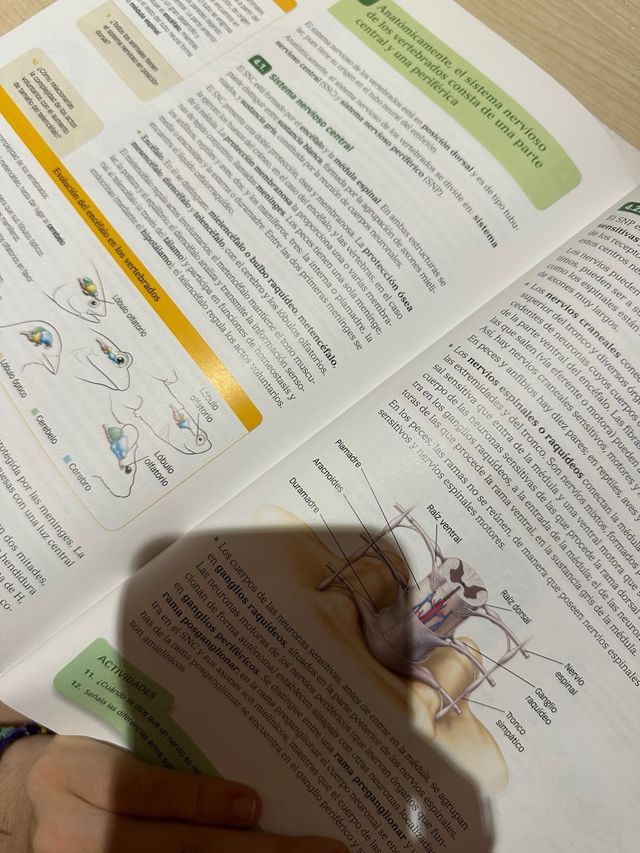 Libro Biología Y Geología 1 bachillerato Santillan