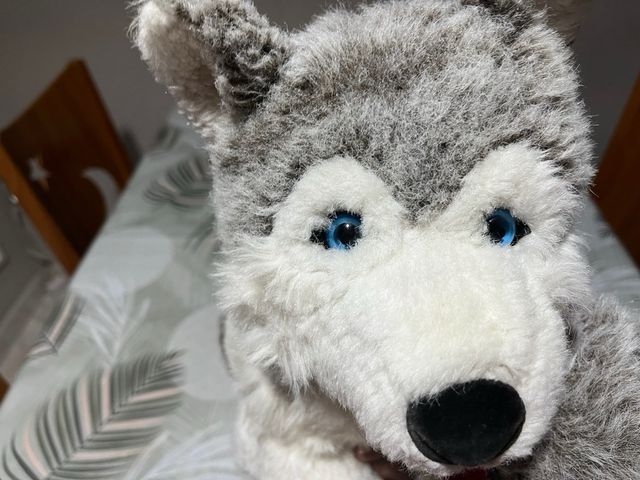 Peluche Husky Siberiano
